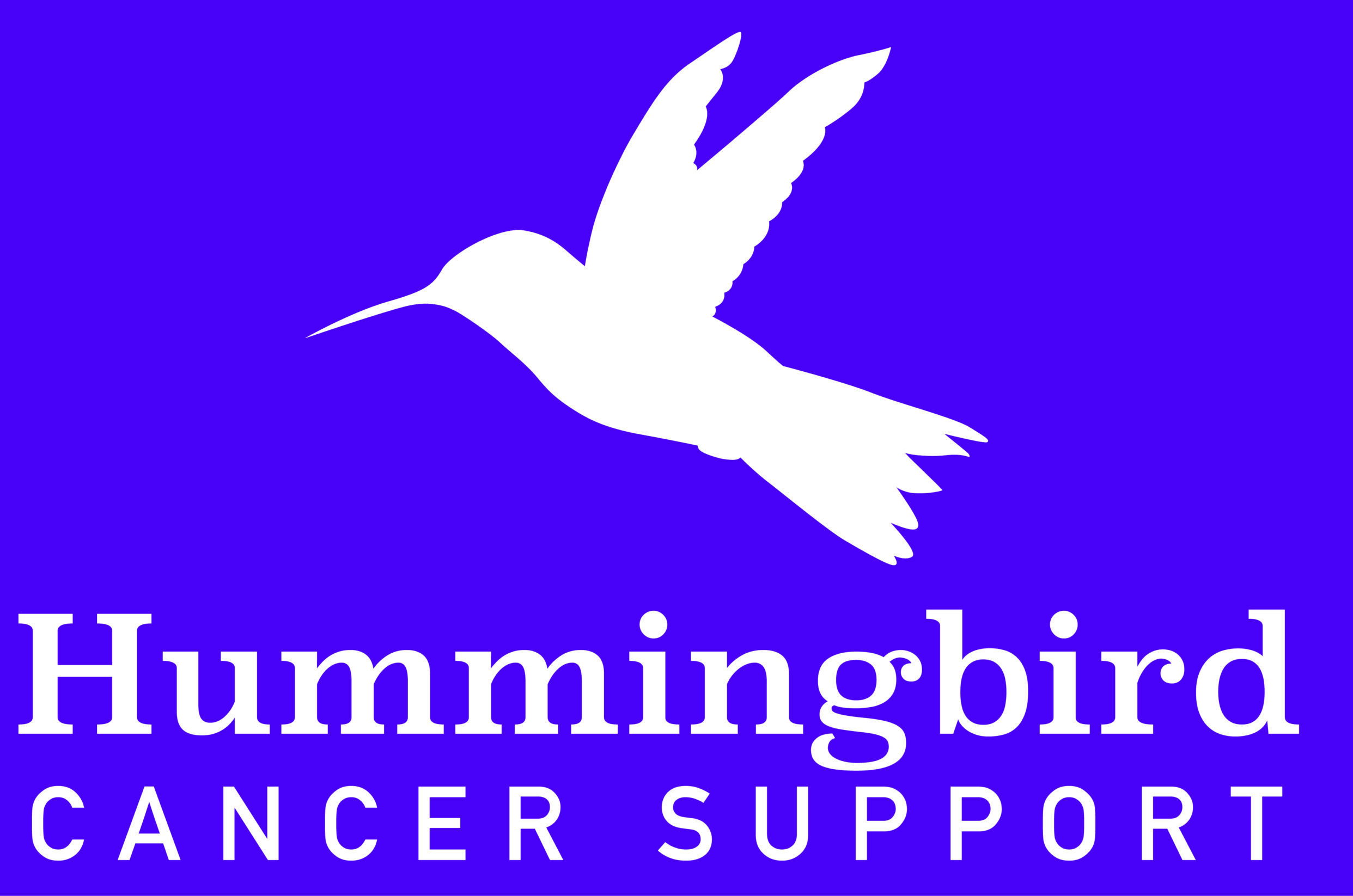 Hummingbird Cancer Support Group